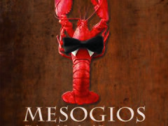 Ajutor bucatar, baiat